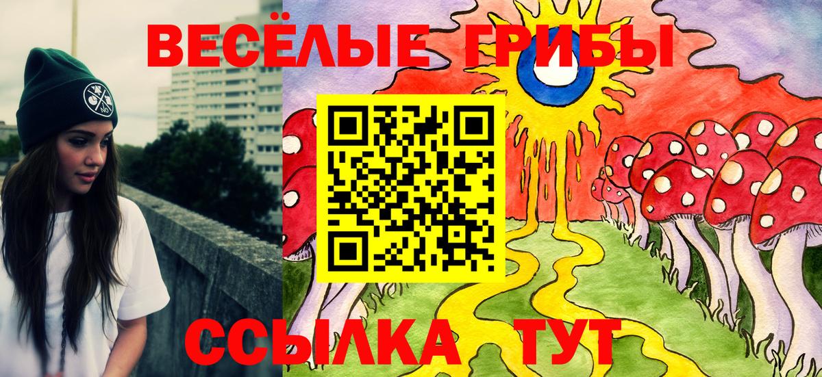 Псилоцибиновые грибы ЛСД Новокубанск