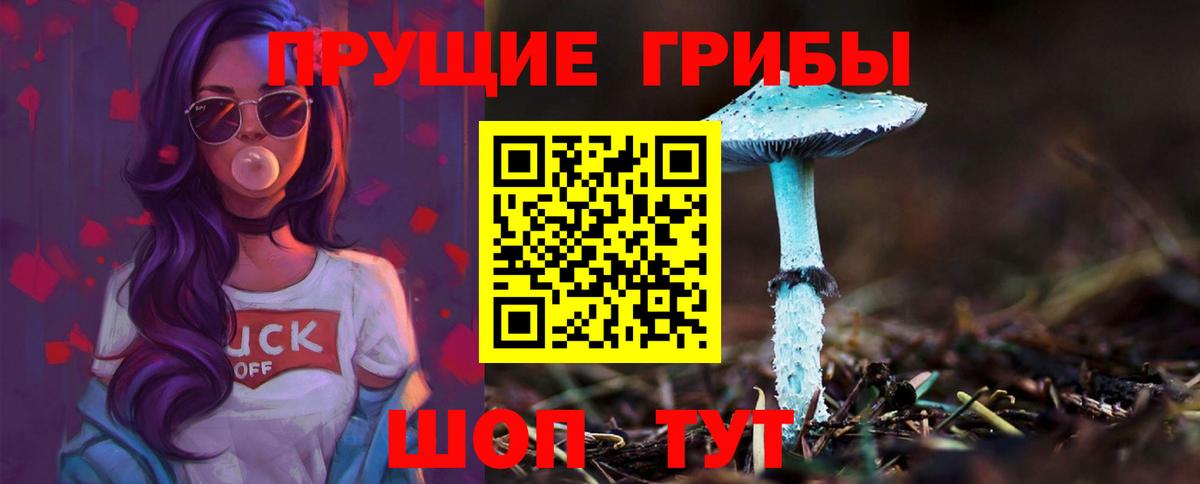 купить наркотик  Вход с VPN  Новокубанск  Псилоцибиновые грибы MAGIC MUSHROOMS 